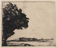 KG 1988 002
<br/>
Hoge boom aan rivieroever
<br/>
<em>Derkzen van Angeren, Antoon (1878 - 1961)</em>